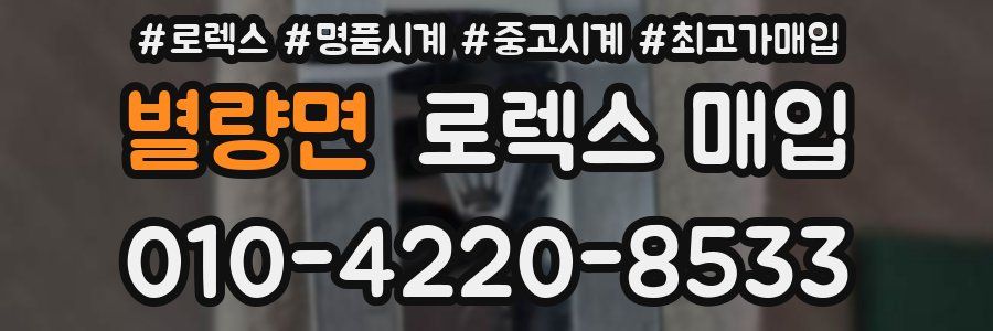 별량면 로렉스 매입