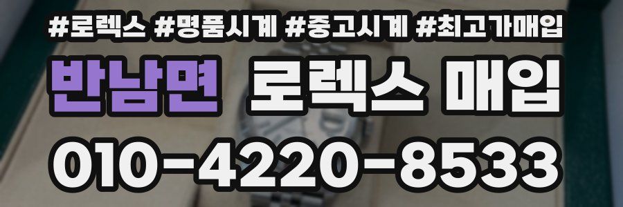 반남면 로렉스 매입