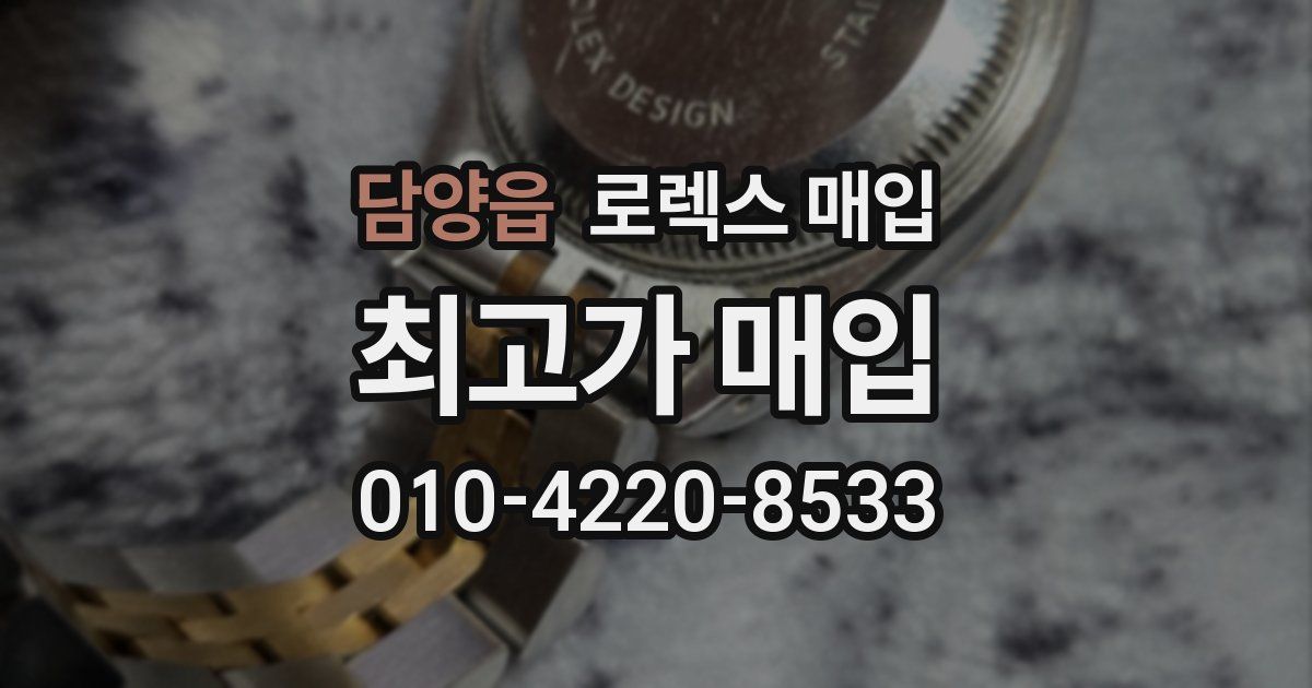 담양읍 로렉스 매입