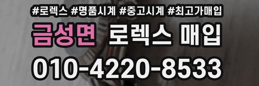 금성면 로렉스 매입
