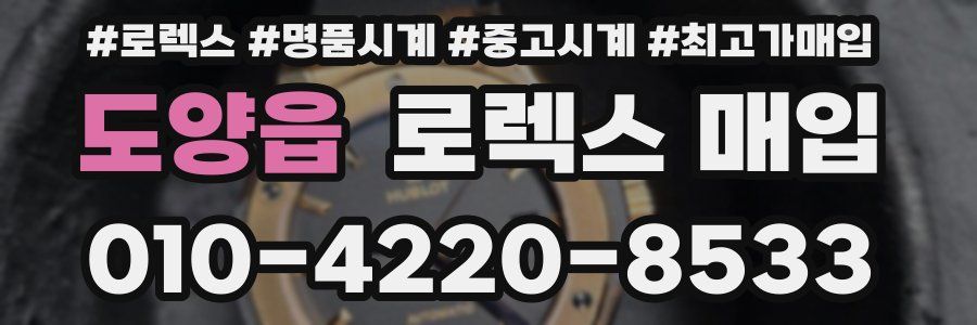 도양읍 로렉스 매입