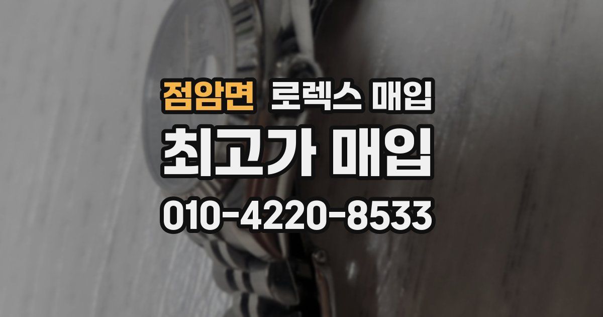 점암면 로렉스 매입