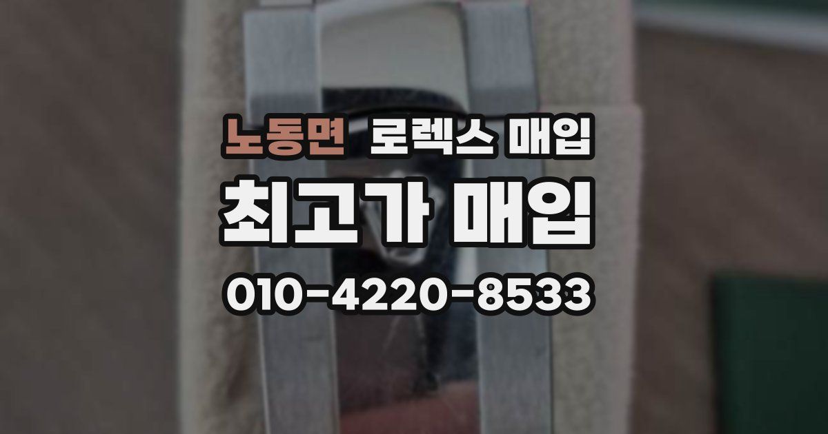 노동면 로렉스 매입