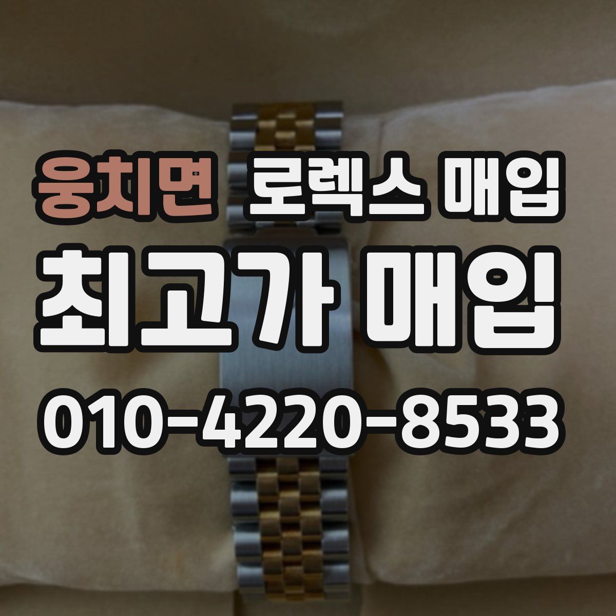 웅치면 로렉스 매입