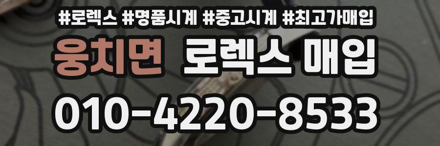 웅치면 로렉스 매입