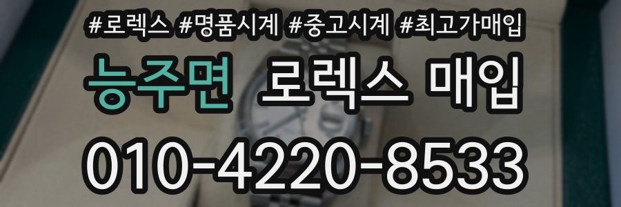 능주면 로렉스 매입