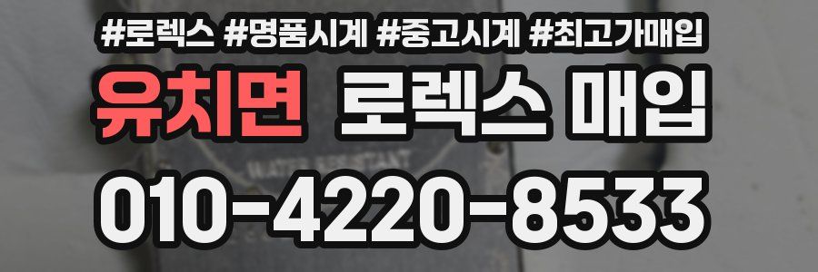 유치면 로렉스 매입