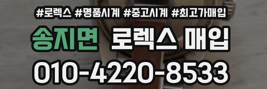 송지면 로렉스 매입