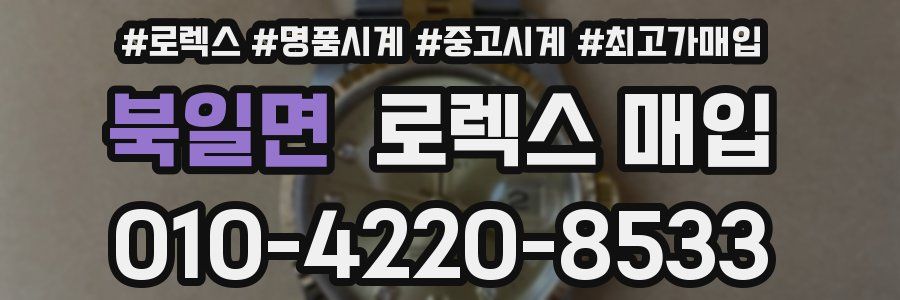 북일면 로렉스 매입