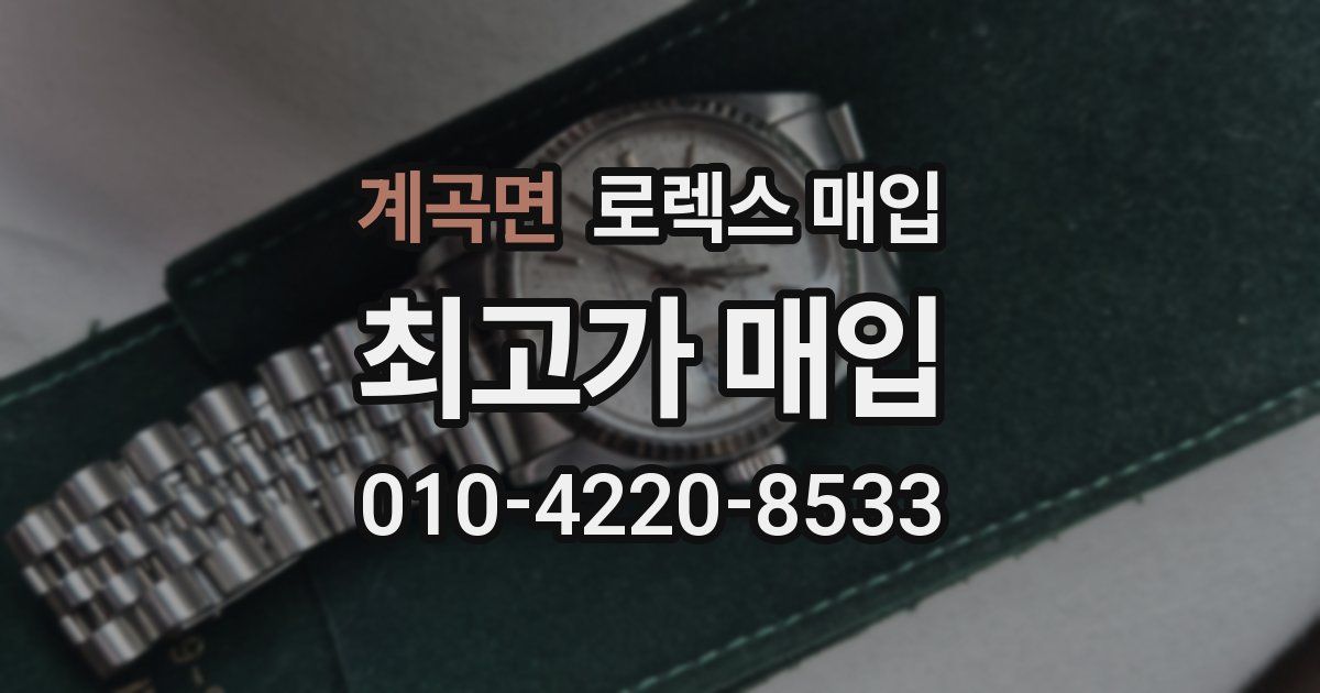 계곡면 로렉스 매입