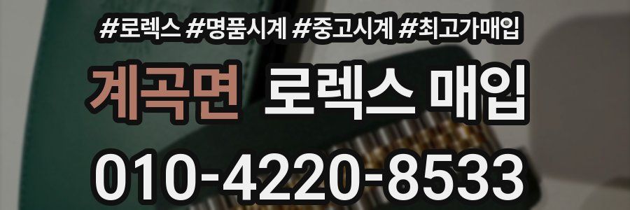 계곡면 로렉스 매입