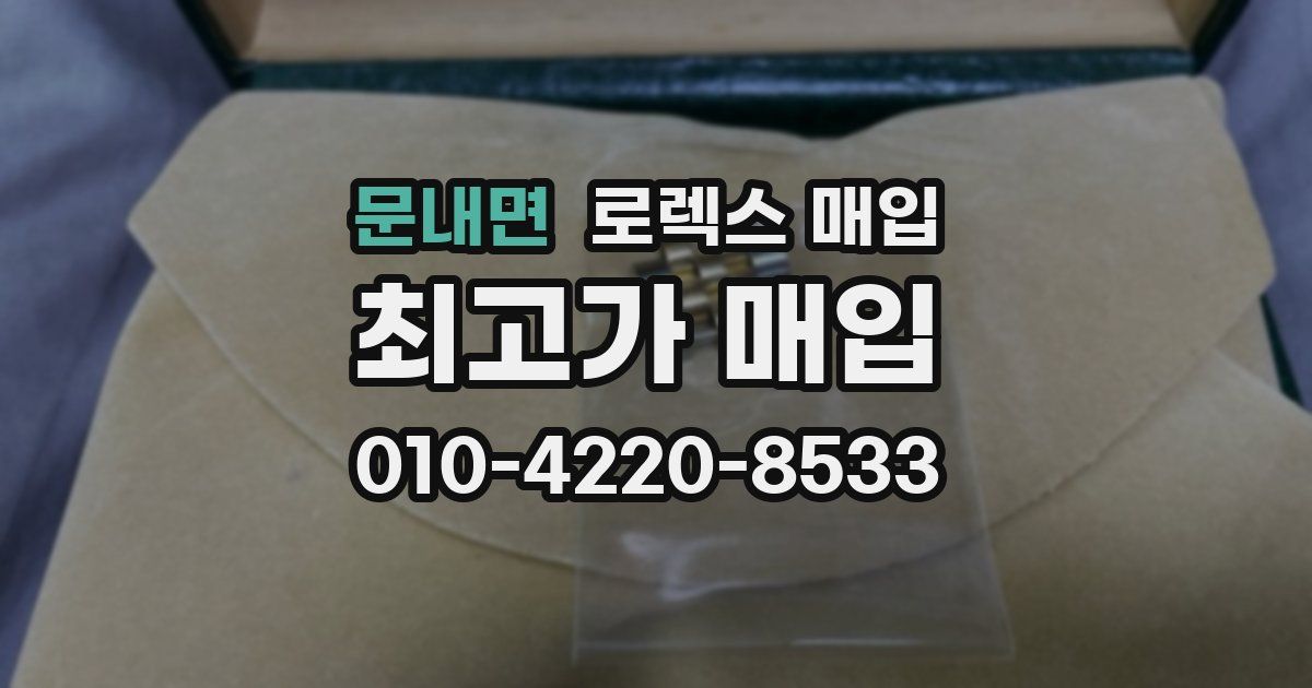 문내면 로렉스 매입