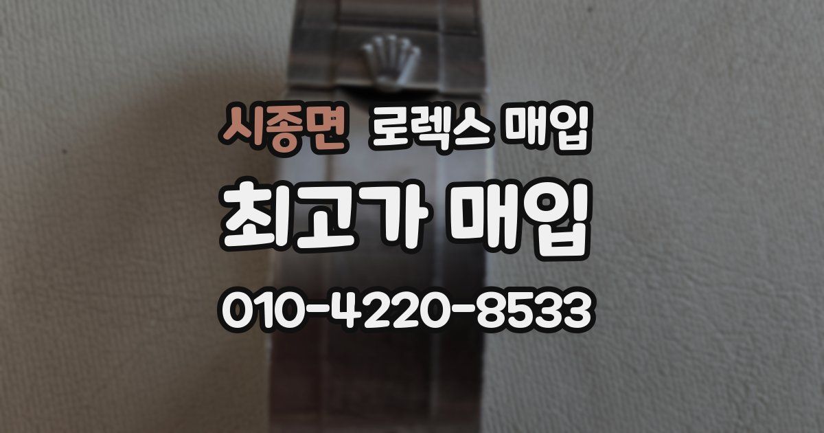 시종면 로렉스 매입