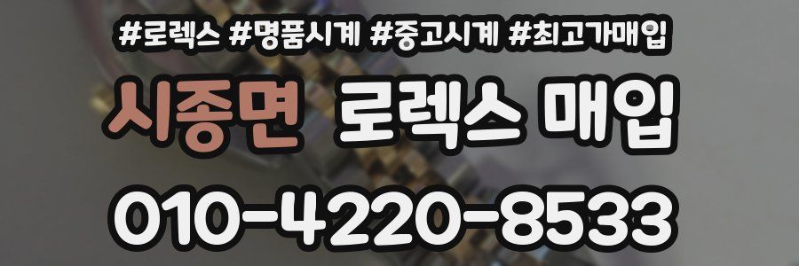 시종면 로렉스 매입