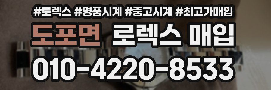 도포면 로렉스 매입