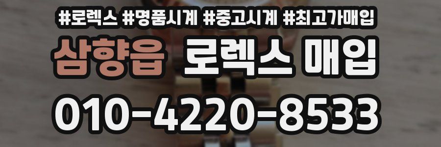 삼향읍 로렉스 매입