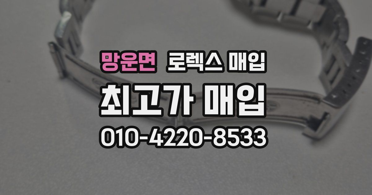 망운면 로렉스 매입