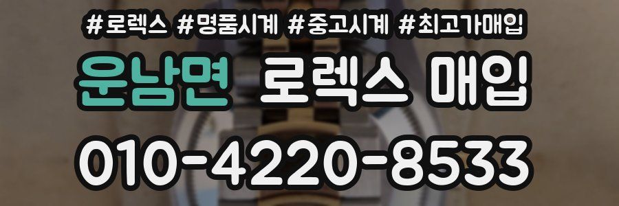 운남면 로렉스 매입