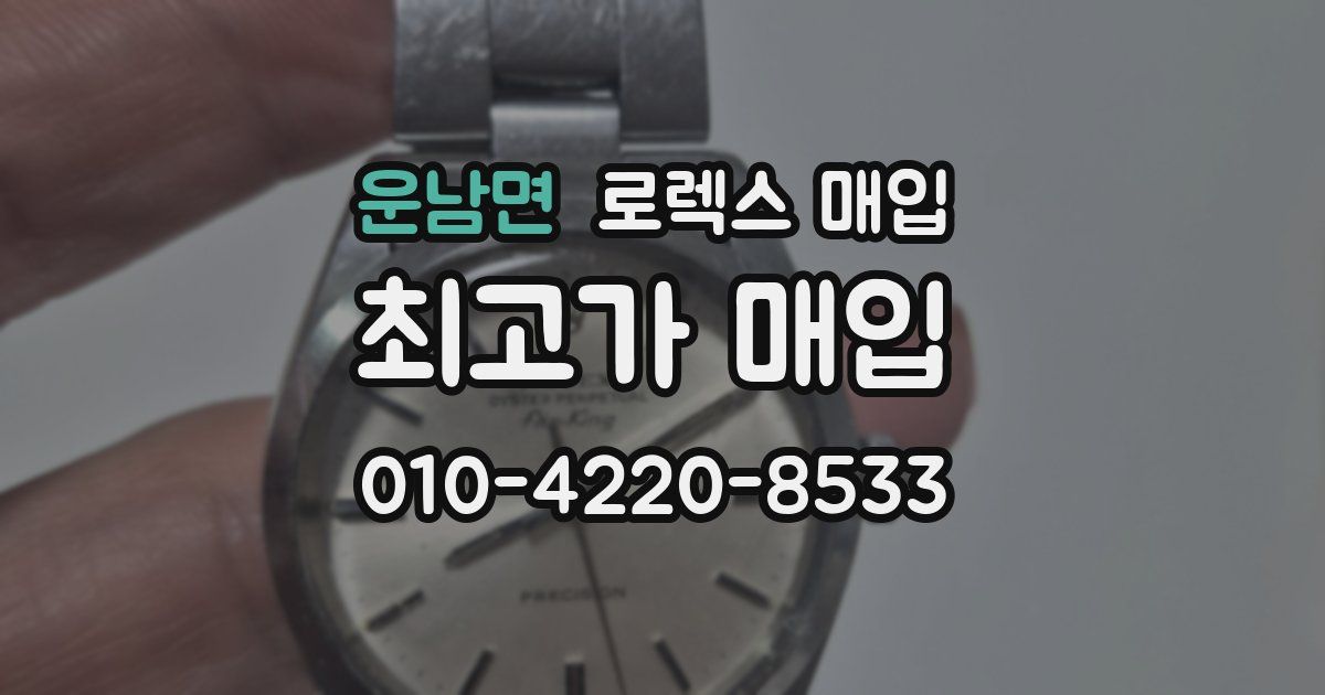 운남면 로렉스 매입