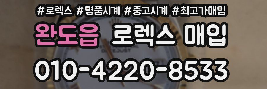 완도읍 로렉스 매입