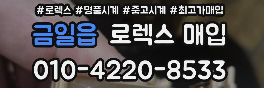 금일읍 로렉스 매입