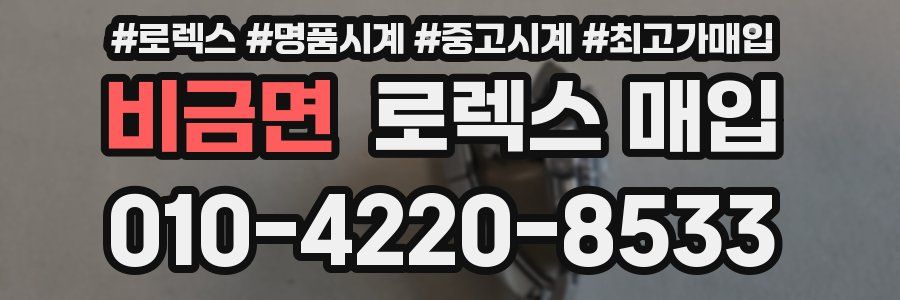 비금면 로렉스 매입