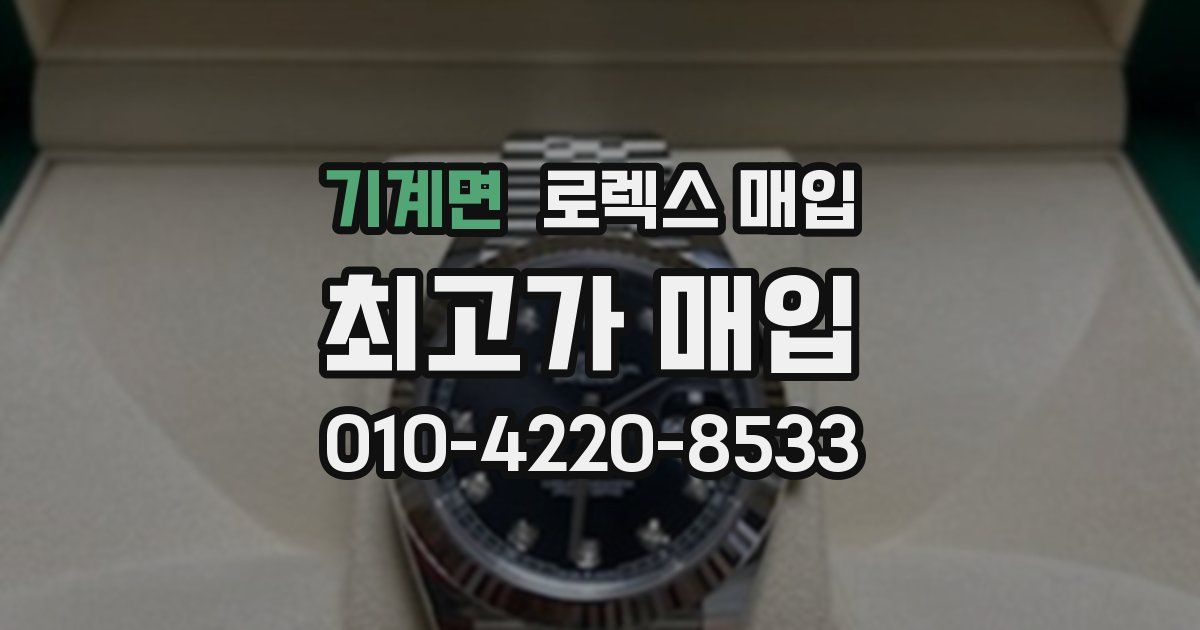 기계면 로렉스 매입