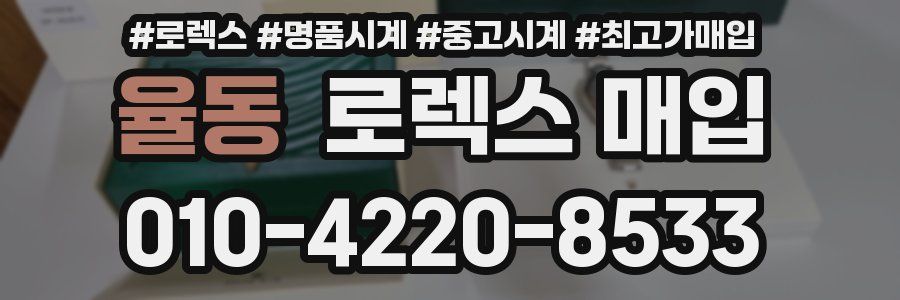 율동 로렉스 매입