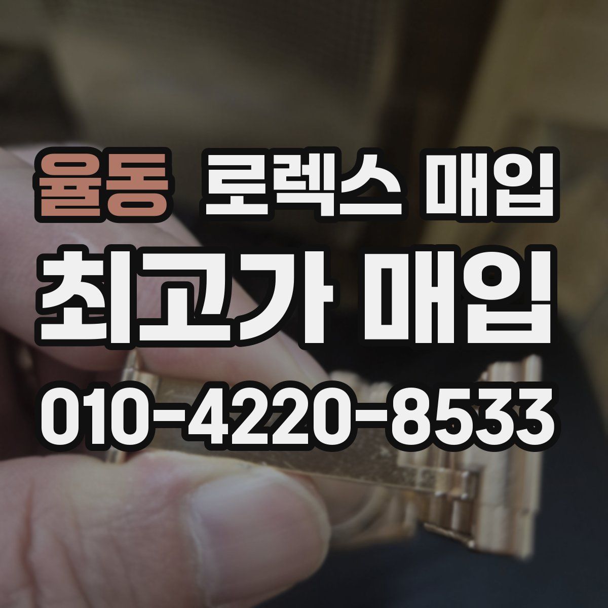 율동 로렉스 매입