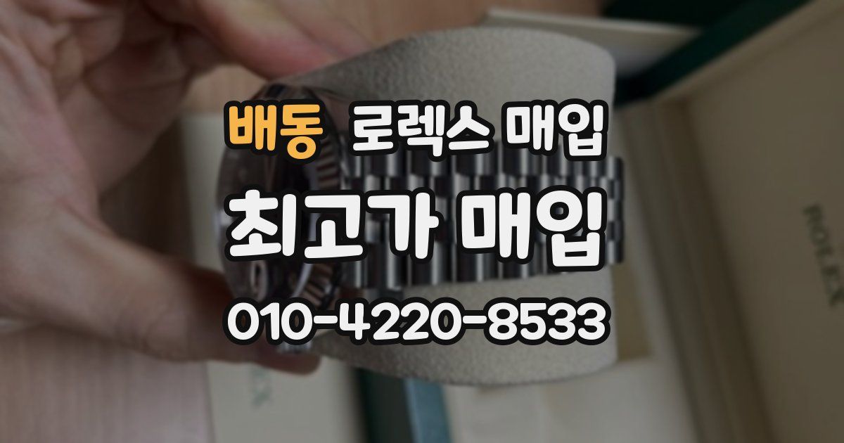 배동 로렉스 매입
