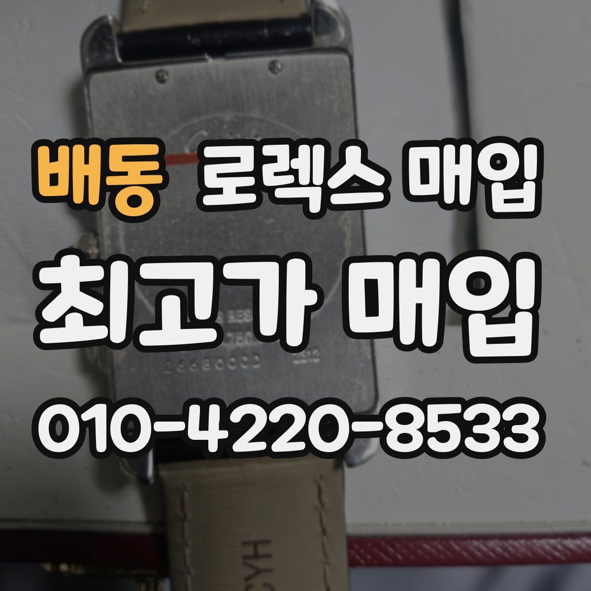 배동 로렉스 매입