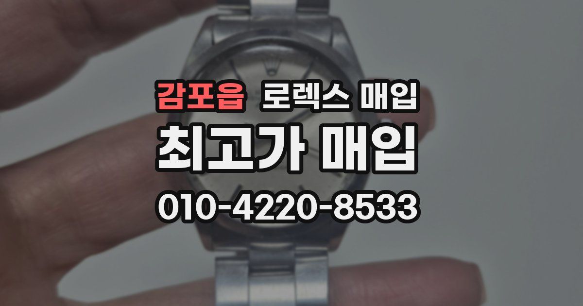 감포읍 로렉스 매입