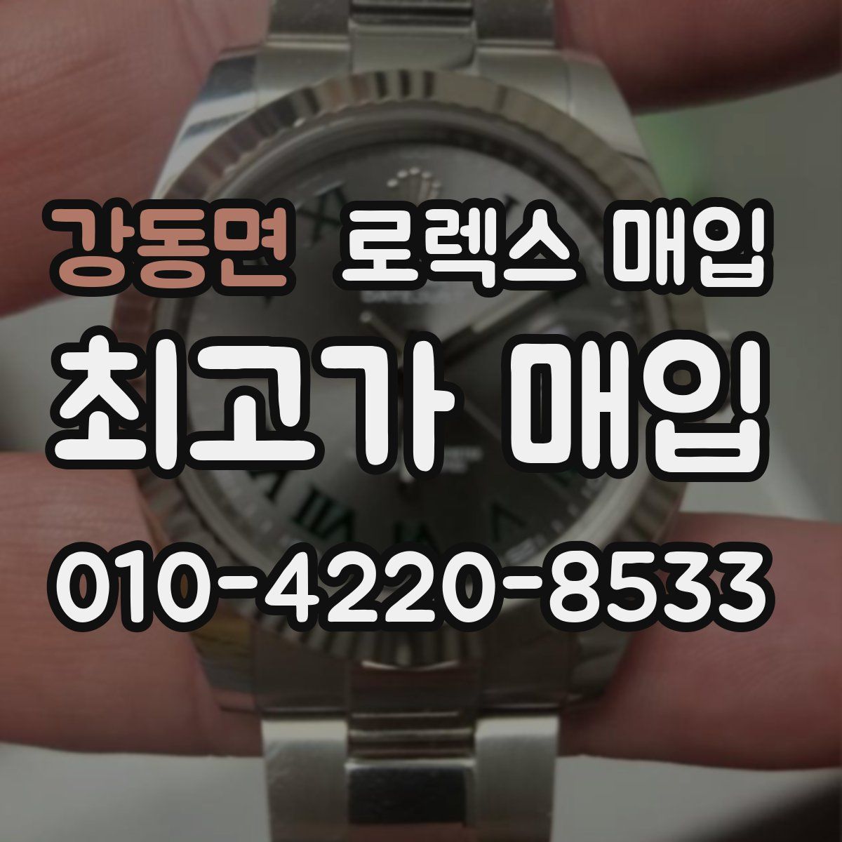 강동면 로렉스 매입