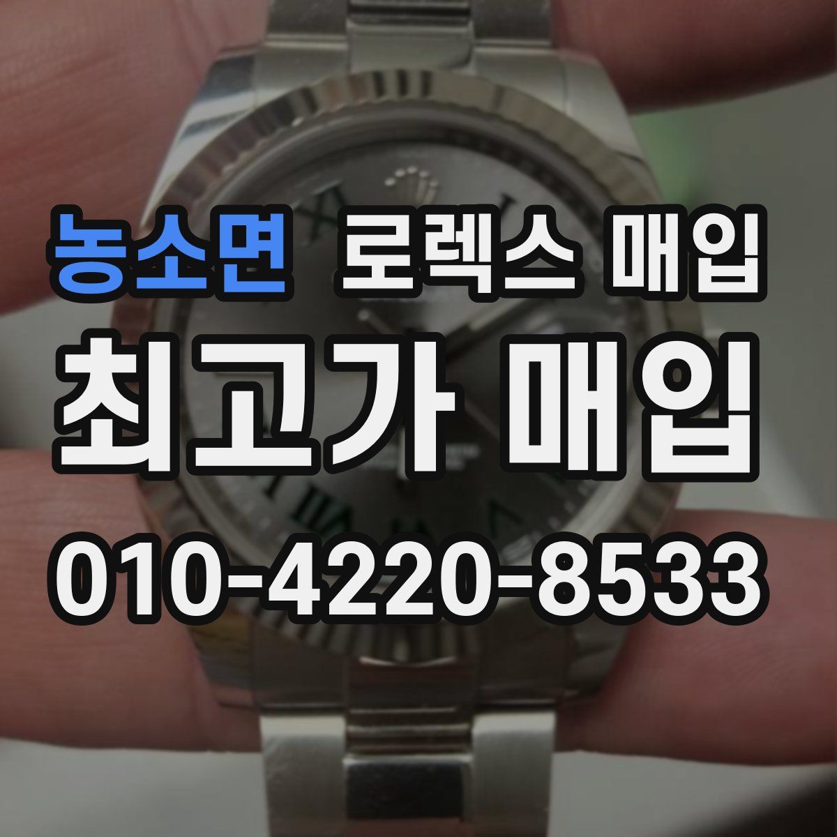 농소면 로렉스 매입