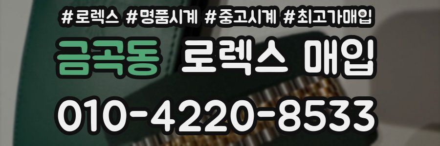금곡동 로렉스 매입