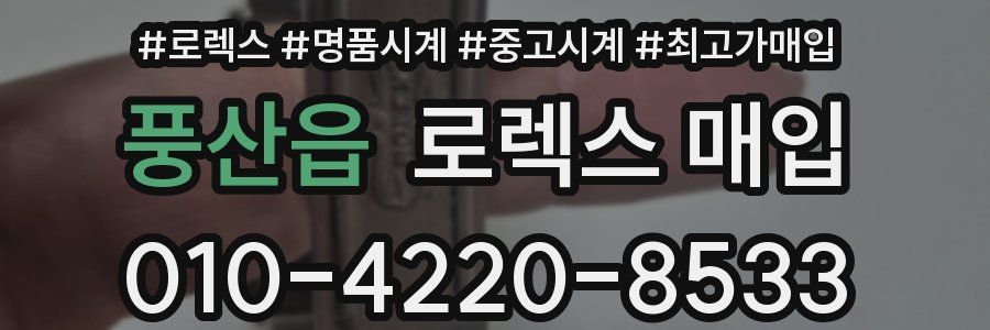 풍산읍 로렉스 매입