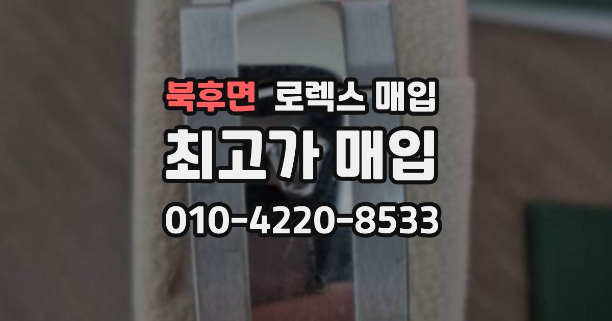 북후면 로렉스 매입
