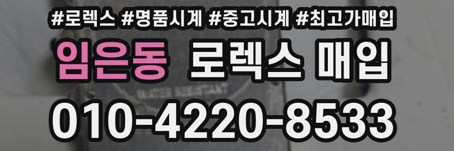 임은동 로렉스 매입