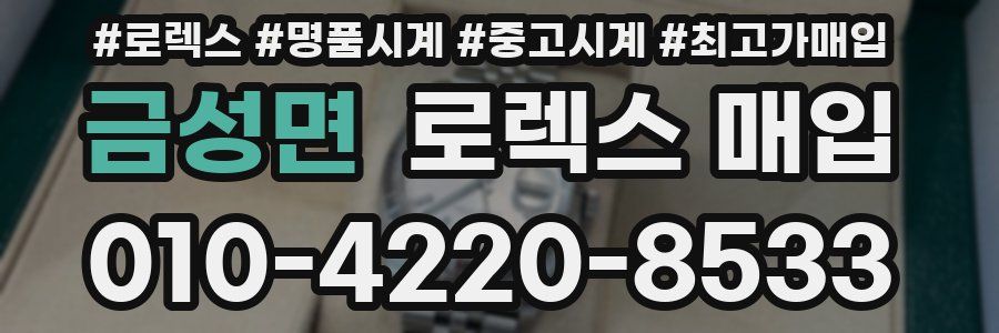 금성면 로렉스 매입