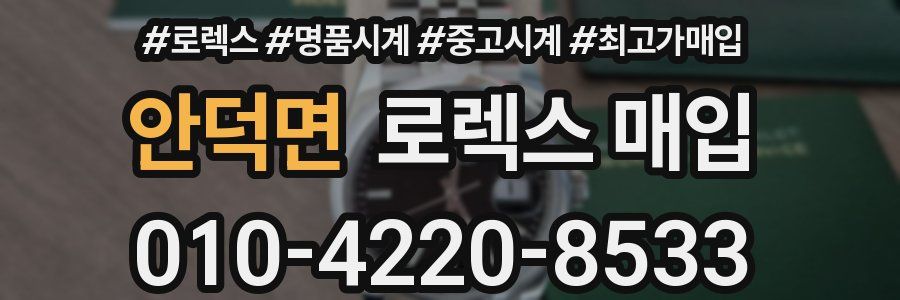 안덕면 로렉스 매입