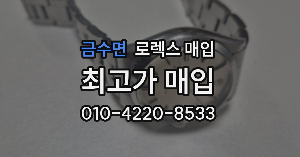금수면 로렉스 매입
