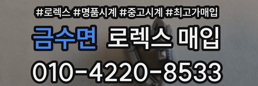 금수면 로렉스 매입