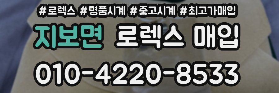 지보면 로렉스 매입