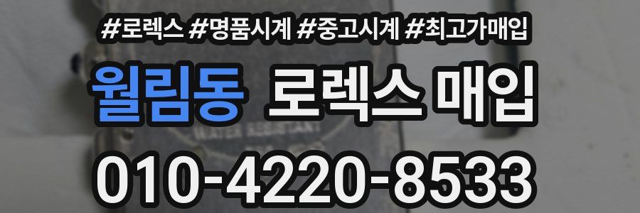 월림동 로렉스 매입