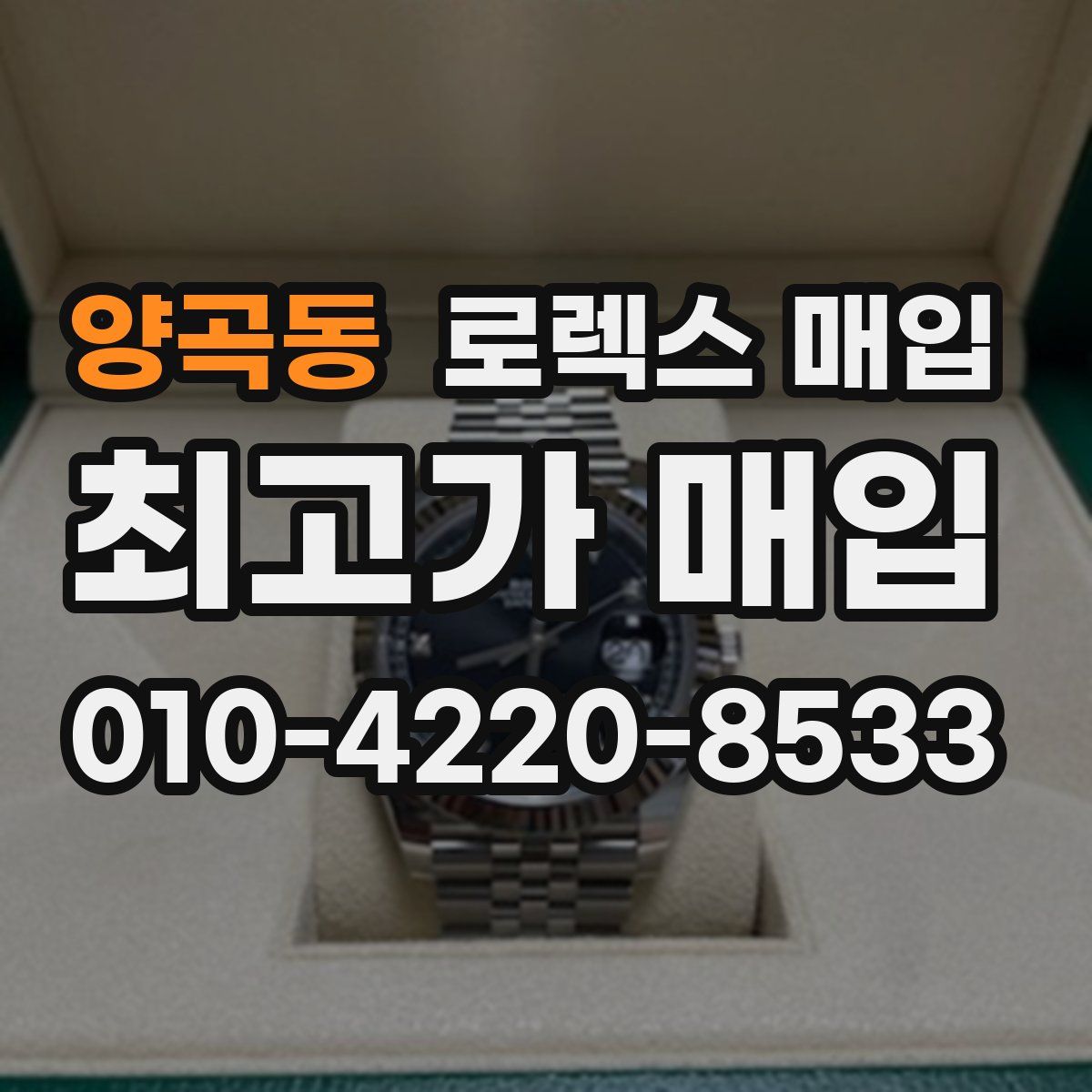 양곡동 로렉스 매입