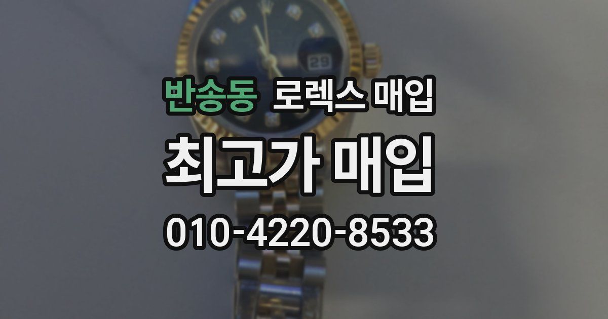 반송동 로렉스 매입