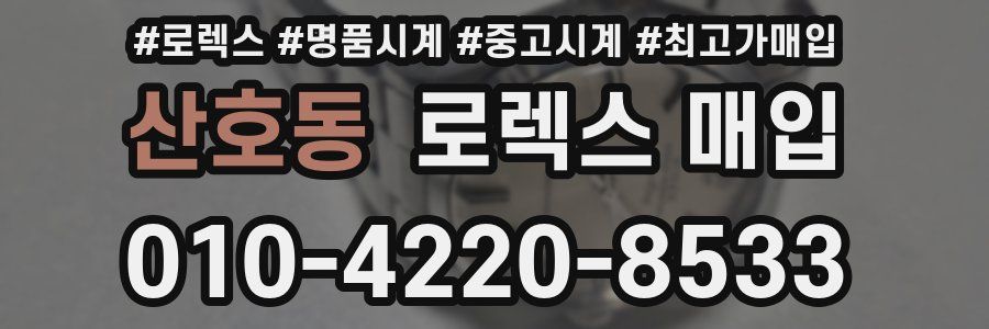 산호동 로렉스 매입