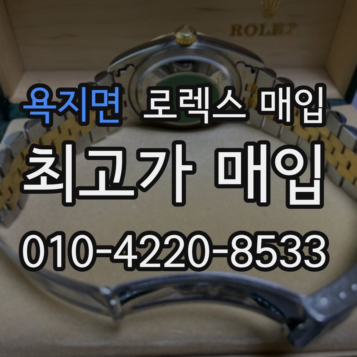 욕지면 로렉스 매입