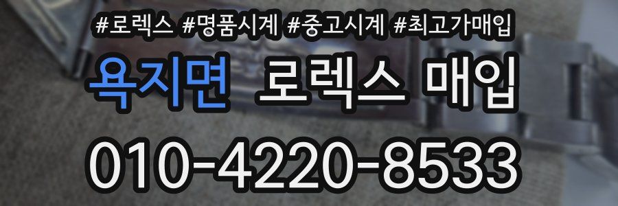욕지면 로렉스 매입