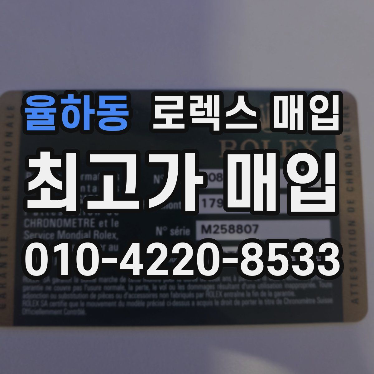 율하동 로렉스 매입